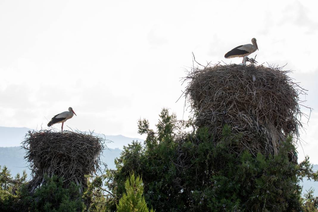 Konya'nın huzur dolu ilçesinin büyüsü kadrajlara sığmadı 5